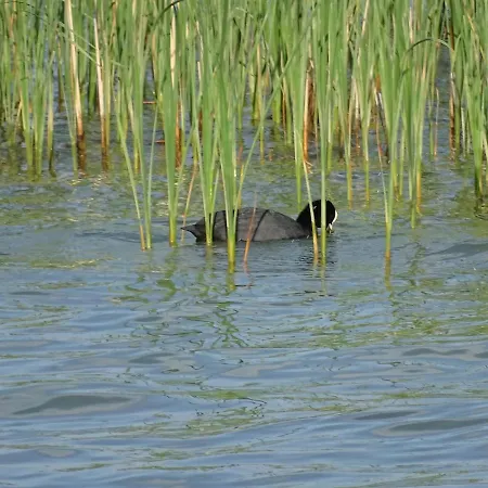 Feriendomizil Am Stoermthaler See, Lagovida, Leipziger Neuseenland, Grosspoesna, Privatstrand Lejlighed *